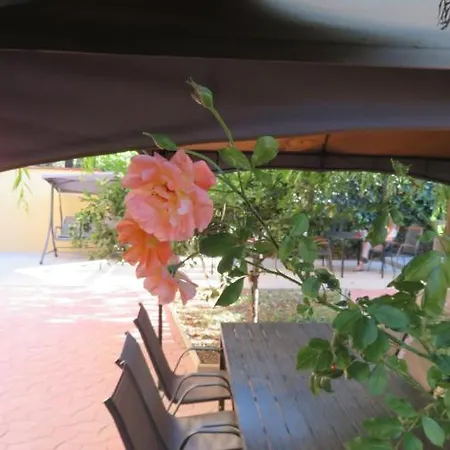 Zambetul Marii * Năvodari