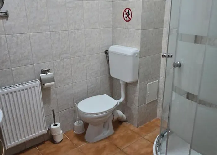 Zambetul Marii Năvodari